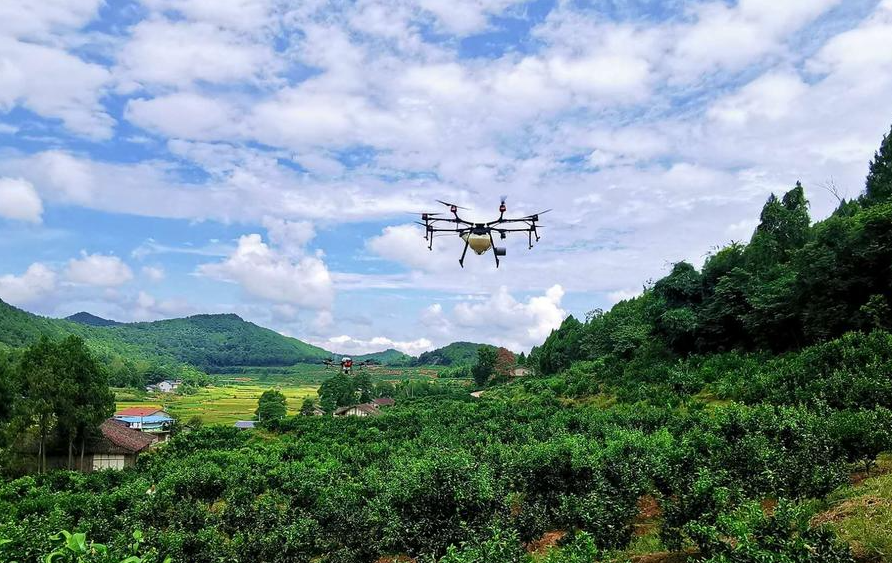 改裝無人機解決果樹農(nóng)藥低效問題 四川果農(nóng)轉(zhuǎn)型成“飛手”(圖1) 改裝無人機解決果樹農(nóng)藥低效問題 四川果農(nóng)轉(zhuǎn)型成“飛手”(圖1)