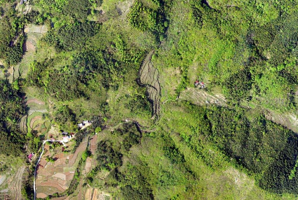 無(wú)人機(jī)技術(shù)在現(xiàn)代林業(yè)工作方面的應(yīng)用(圖2) 無(wú)人機(jī)技術(shù)在現(xiàn)代林業(yè)工作方面的應(yīng)用(圖2)