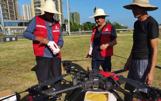 紅火蟻“一鍋端”湘潭市出動無人機(jī)拋撒滅殺餌劑(圖1)