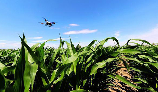 無人機(jī)技術(shù)在現(xiàn)代農(nóng)業(yè)領(lǐng)域的應(yīng)用與發(fā)展(圖5) 無人機(jī)技術(shù)在現(xiàn)代農(nóng)業(yè)領(lǐng)域的應(yīng)用與發(fā)展(圖5)