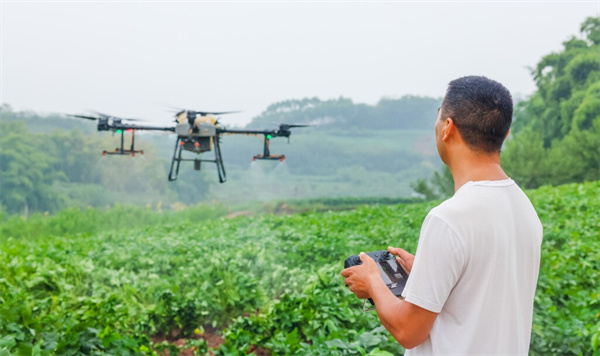 自貢市貢井區(qū):植保無(wú)人機(jī)助力病蟲(chóng)害防治(圖1) 自貢市貢井區(qū):植保無(wú)人機(jī)助力病蟲(chóng)害防治(圖1)