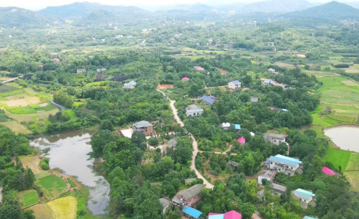 無人機(jī)助力長(zhǎng)沙市森林防火 筑牢城市森林防火安全線(圖1)