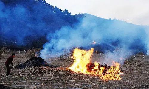 千里眼無(wú)人機(jī)監(jiān)控焚燒秸稈污染環(huán)境行為(圖1) 千里眼無(wú)人機(jī)監(jiān)控焚燒秸稈污染環(huán)境行為(圖1)