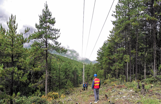 無人機(jī)紅外測溫巡邏,助力山林排查隱患(圖1) 無人機(jī)紅外測溫巡邏,助力山林排查隱患(圖1)