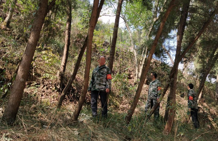 無人機(jī)應(yīng)用如何在林區(qū)巡邏大展身手?(圖1) 無人機(jī)應(yīng)用如何在林區(qū)巡邏大展身手?(圖1)